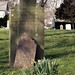 John Kolbe Photo 3