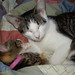 Bobbie Walls Photo 16