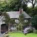 William Galle Photo 11