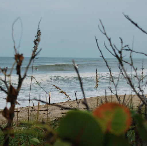 Michael Hawley Photo 22