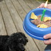 Laura Pepper Photo 9