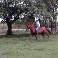 Alfredo Altamirano Photo 33