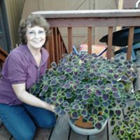 Lynda Carpenter Photo 24