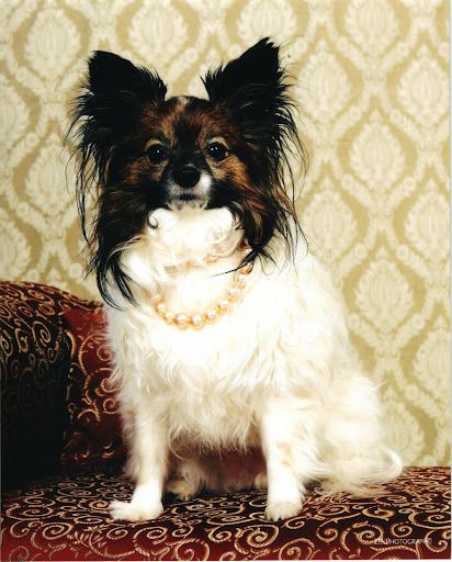 Shelly Steadman Photo 7