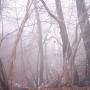 Richard Parks Photo 28