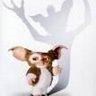 Michelle Cates Photo 35