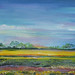 Suzanne Christ Photo 6
