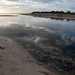 Doyle Webb Photo 12