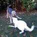 Heidi Moses Photo 13