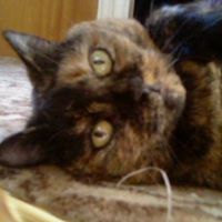 Marion Evans Photo 3
