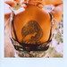 Barbara Back Photo 28