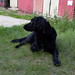 Edith Reese Photo 19