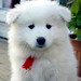 Cindy Born Photo 10