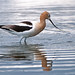 John Walden Photo 22