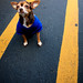 Eddie Reese Photo 31