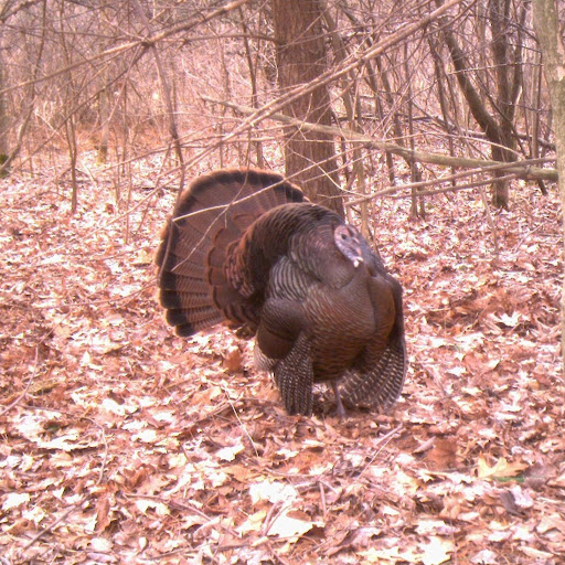 Jeffery Mckay Photo 2