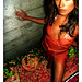 Shelly Flowers Photo 12