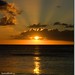 Ray Needham Photo 14