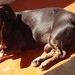 Judy Amado Photo 14