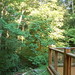 Lisa Ralph Photo 31