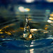Guy Waters Photo 11