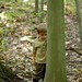Alan Trees Photo 11