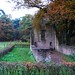Victoria Clements Photo 31