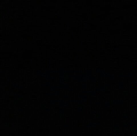 Bob Klein Photo 7