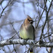David Menke Photo 38
