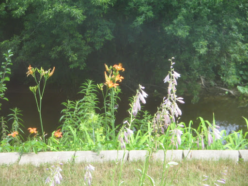 Linda Gleason Photo 27