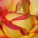 Colleen Masters Photo 7