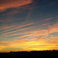 Janice Helms Photo 27