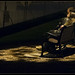 Sydney Andersen Photo 5