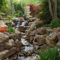 Janet Schwarz Photo 32