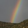 Kay Haney Photo 5
