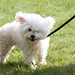 Sue Mayhew Photo 11