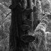 Terry Breedlove Photo 16