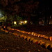 James Howe Photo 45