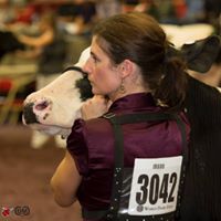 Tracy Mitchell Photo 34