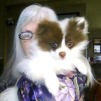 Anita Mcclure Photo 5