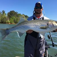 Andrew Arrington Photo 7