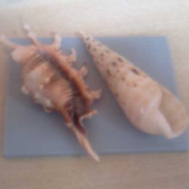 Yi Zhu Photo 9