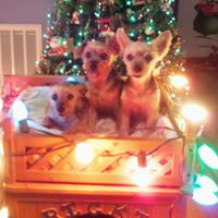 Karen Frye Photo 34