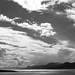 David Beagle Photo 30