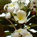 Hoa Trinh Photo 23