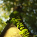 Mark Boles Photo 6