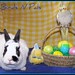 Nancy Hays Photo 8