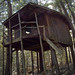 Amy Browne Photo 23