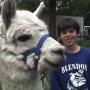 Bradley Webster Photo 4