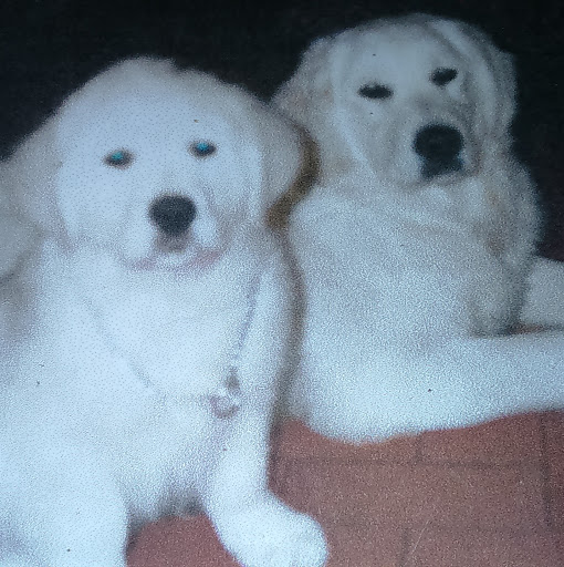 Jackie Lowe Photo 40